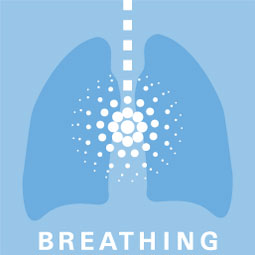 4 Pillars of Ergonomics: Breathing