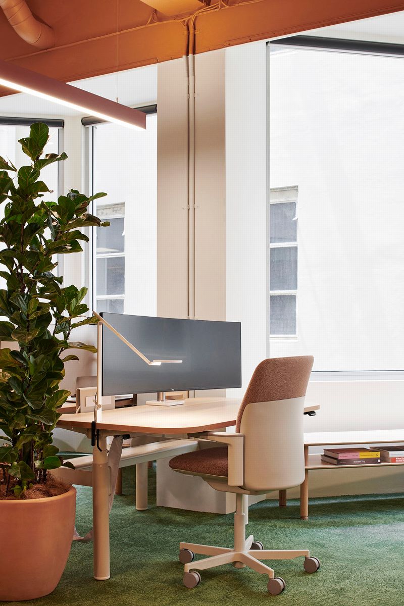 workspace with plant and ergonomic office chair