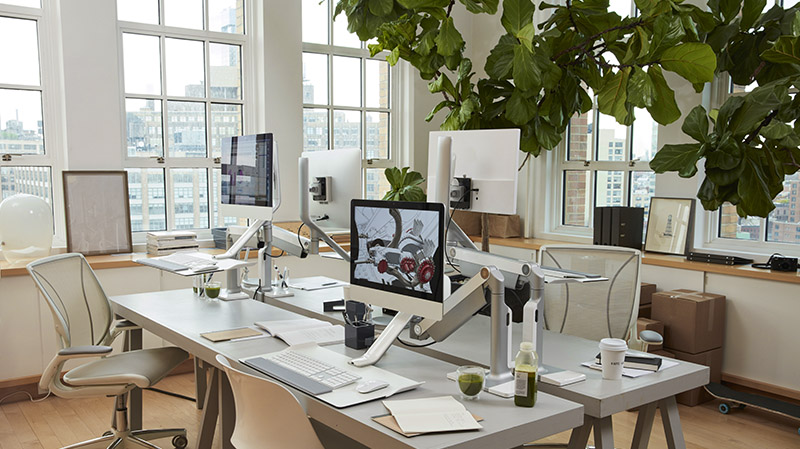 sustainable office set up