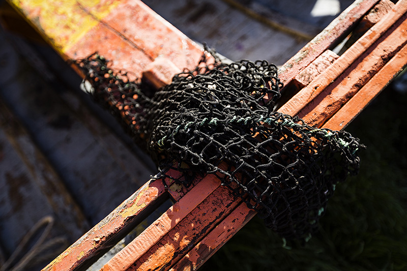 Next Wave Fishing Net