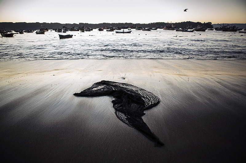 Fishing Net